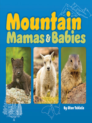 cover image of Mountain Mamas & Babies